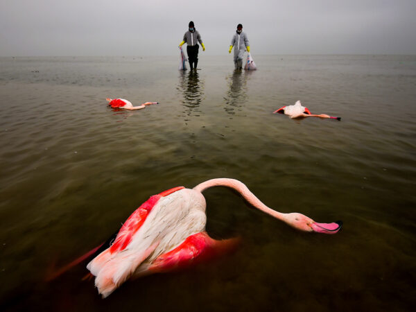 SPOLEČNOST NIKON A PARTNEŘI OZNAMUJÍ VÍTĚZE SOUTĚŽE ENVIRONMENTAL PHOTOGRAPHER OF THE YEAR 2022