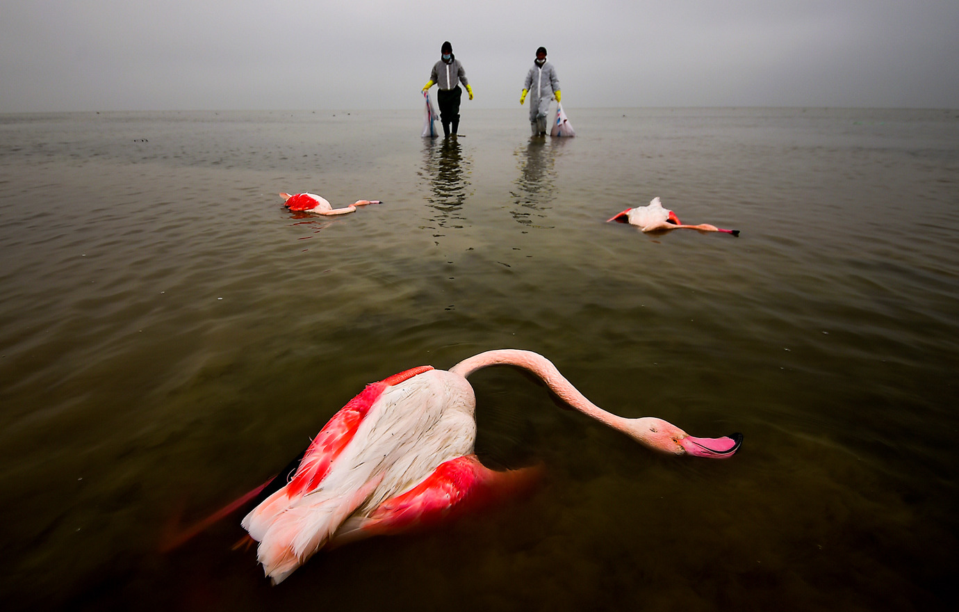 SPOLEČNOST NIKON A PARTNEŘI OZNAMUJÍ VÍTĚZE SOUTĚŽE ENVIRONMENTAL PHOTOGRAPHER OF THE YEAR 2022