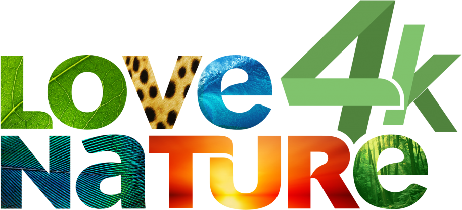 MAGENTA TV přináší mužský tenis na Premier Sport 3 HD a nový program Love Nature 4K