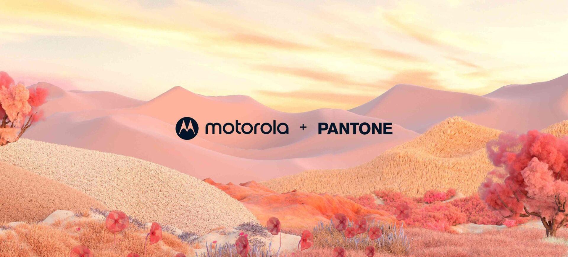 Společnost Motorola představuje první chytré telefony na světě s fotoaparátem a displejem s ověřením Pantone™