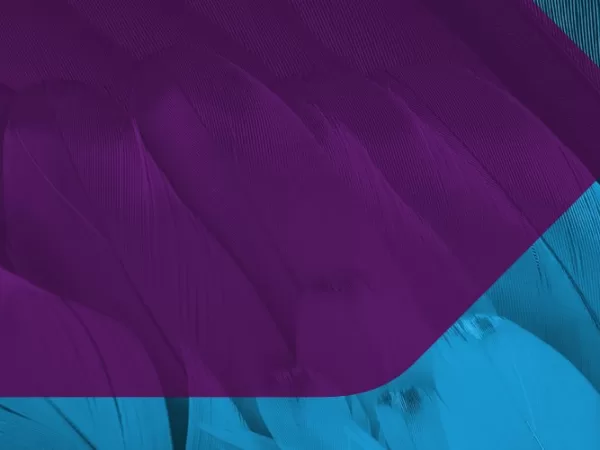 Advokátní kancelář Dentons poskytla syndikátu významných bank právní poradenství při financování akvizice společnosti Avenga skupinou KKCG