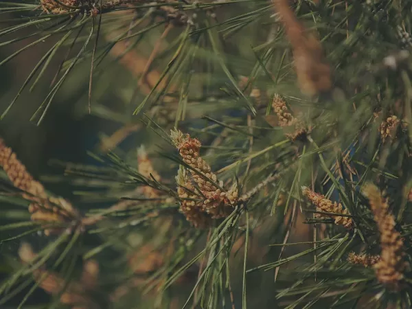 Sekundy místo dní. Umělá inteligence mění tvorbu cenových nabídek