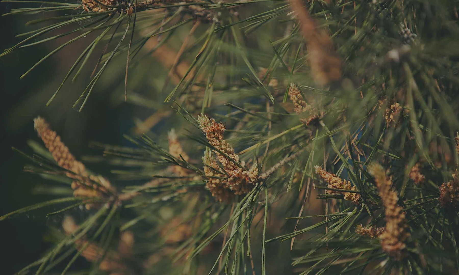 Sekundy místo dní. Umělá inteligence mění tvorbu cenových nabídek