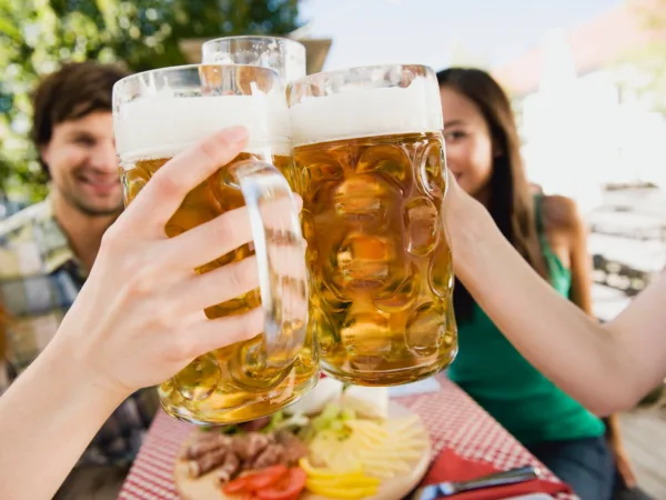 Budvar řídí 200 tras přes nový systém. Cloudová platforma SAP nahradila čtvrtinu aplikací