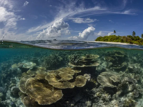 Canon a fotograf Martin Strmiska ve „Světě nevídaném“ ukazují krásu i zranitelnost korálových útesů