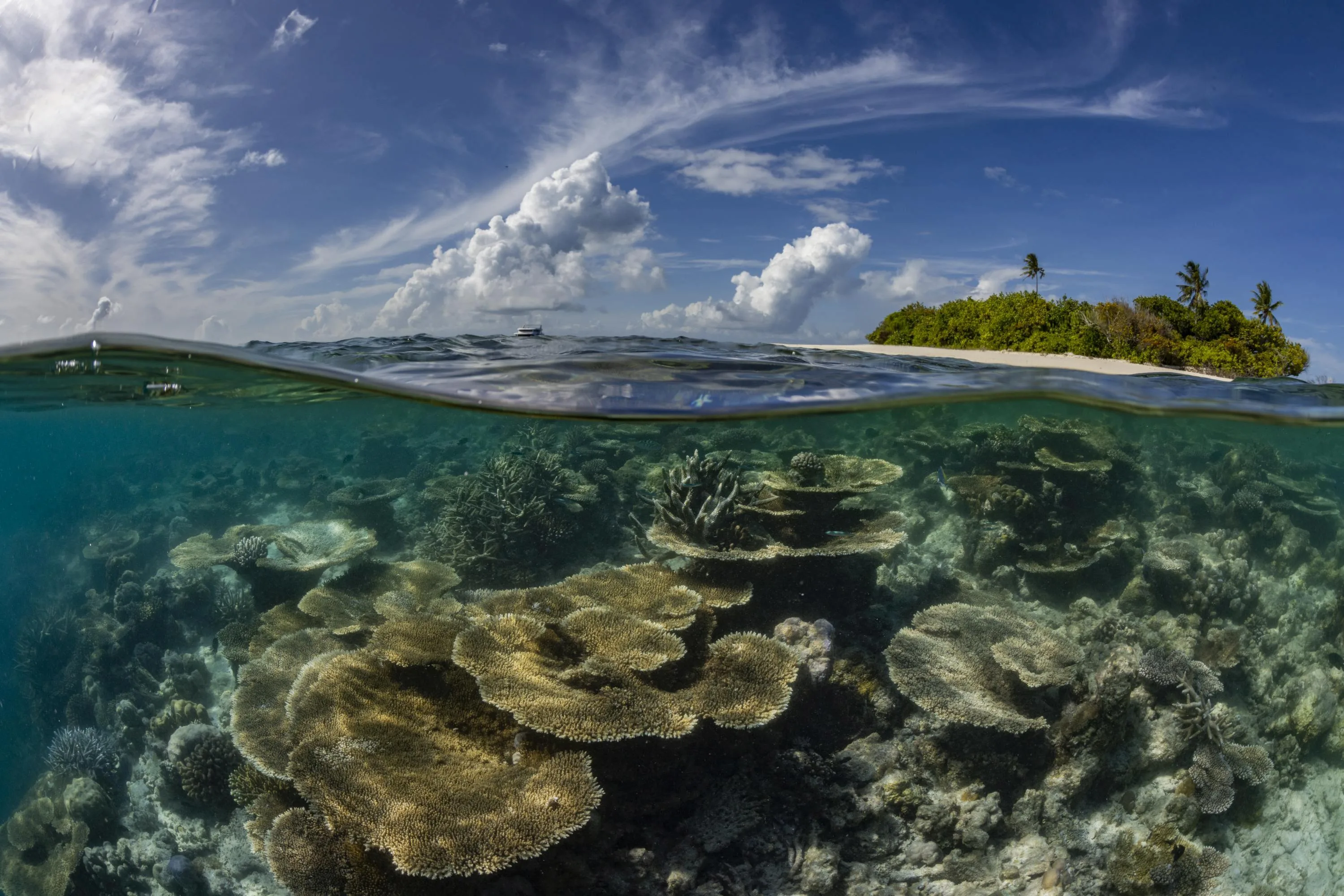 Canon a fotograf Martin Strmiska ve „Světě nevídaném“ ukazují krásu i zranitelnost korálových útesů