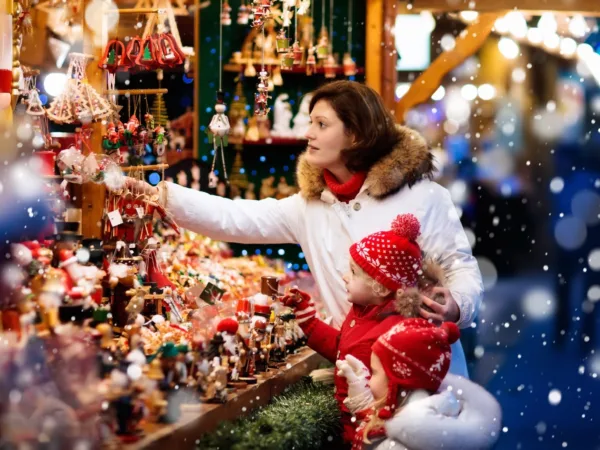Vánoční sezóna v DIY logistice: dominují dekorace, posiluje dropshipment